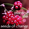 SeedsofchangeICON.png